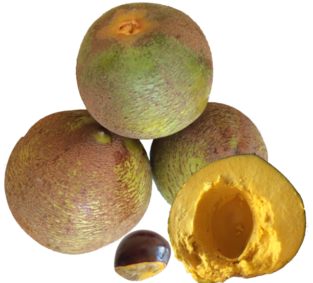 lucuma fruit