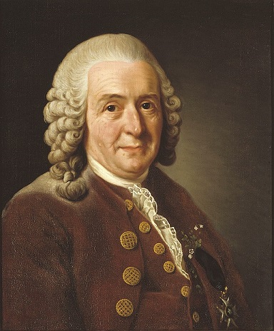 Carl von Linné quiz