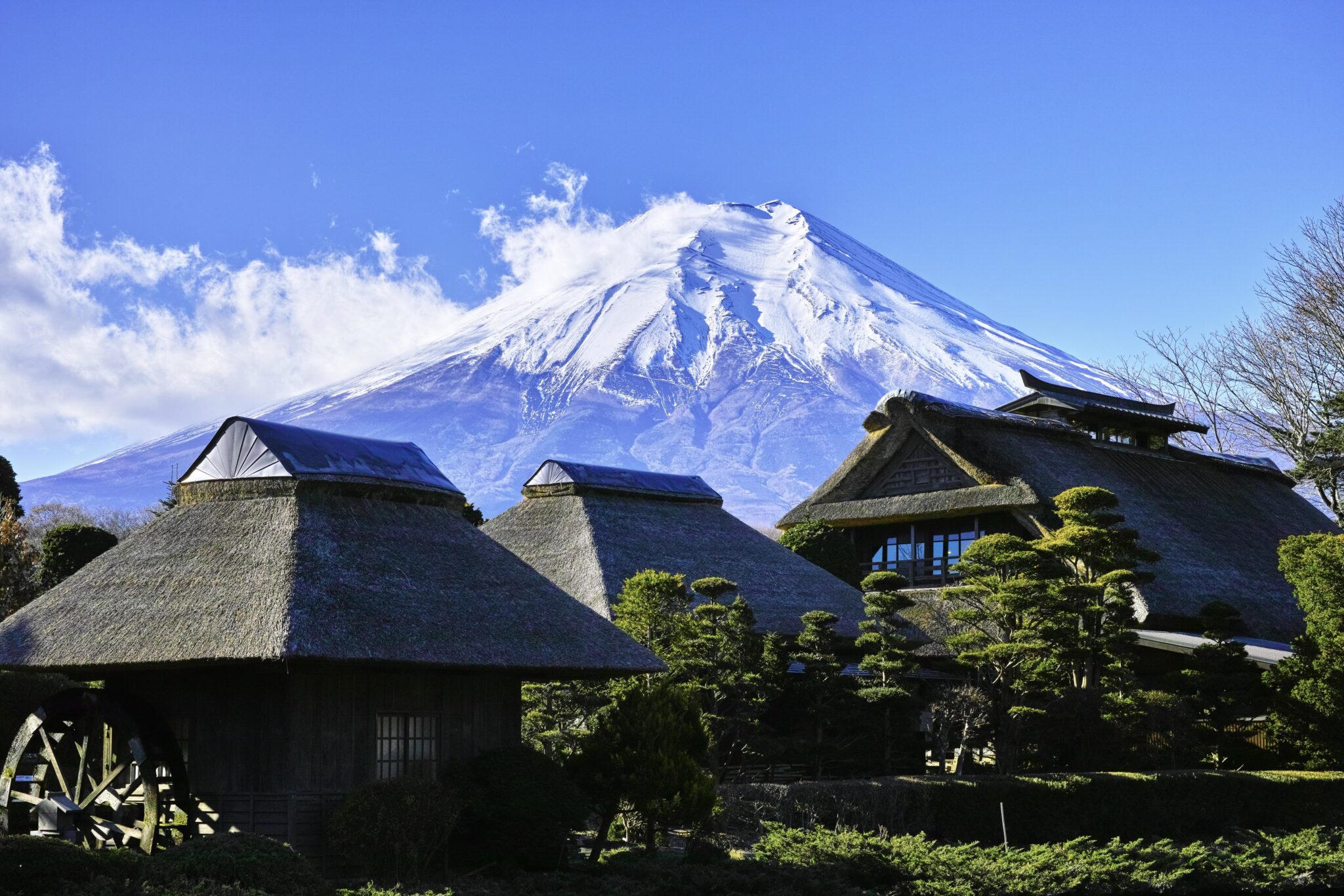japan-quiz-looking-for-a-challenge-you-know-what