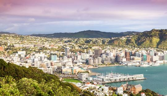 new zealand wellington