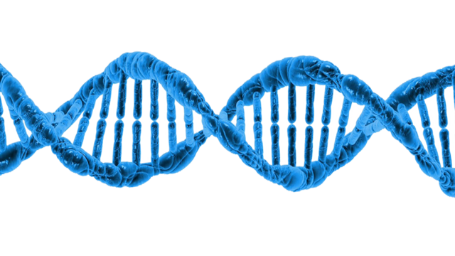 dna ykwblog