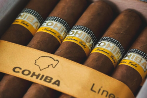 cohiba cigars cuba