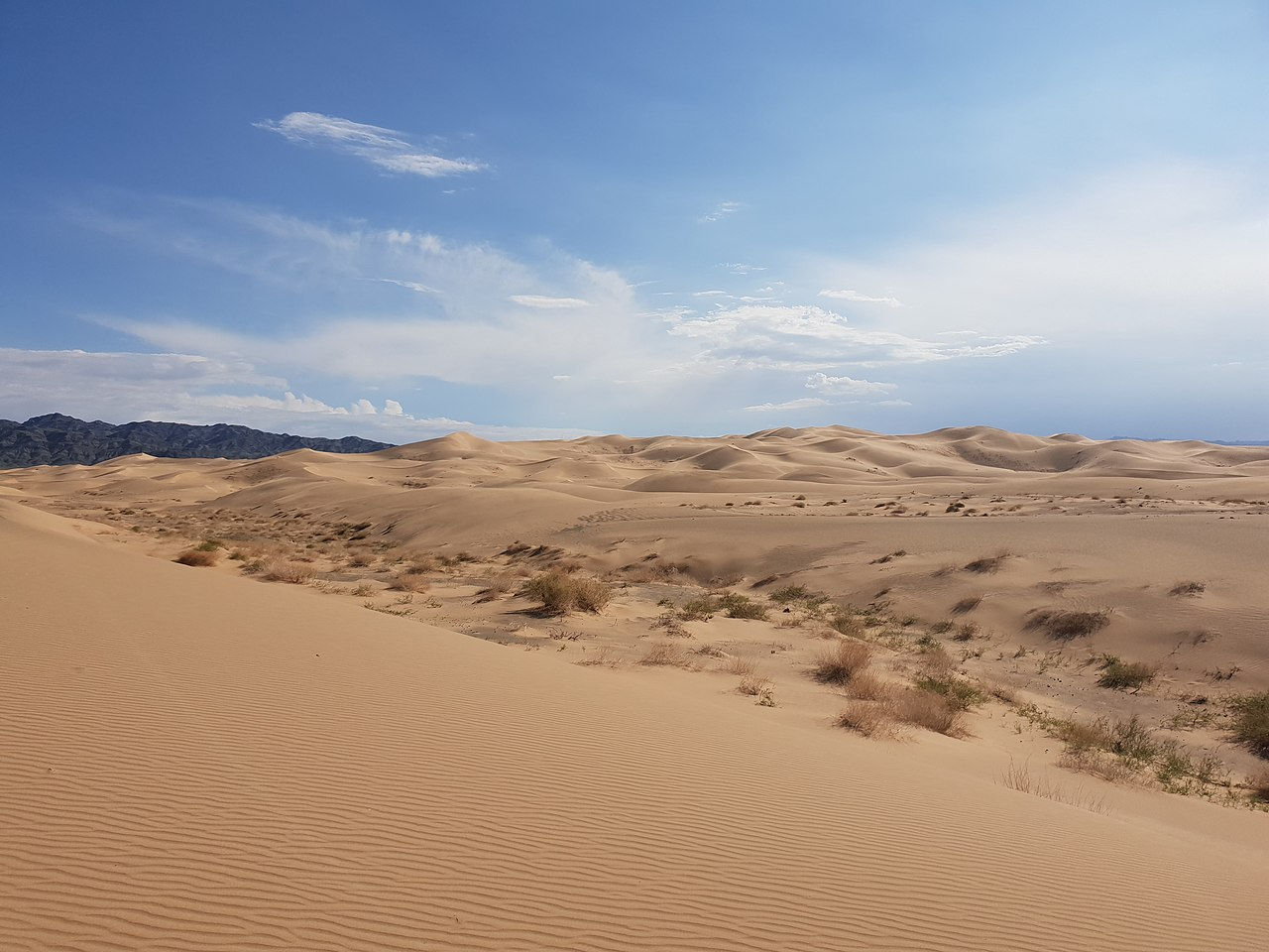 gobi desert