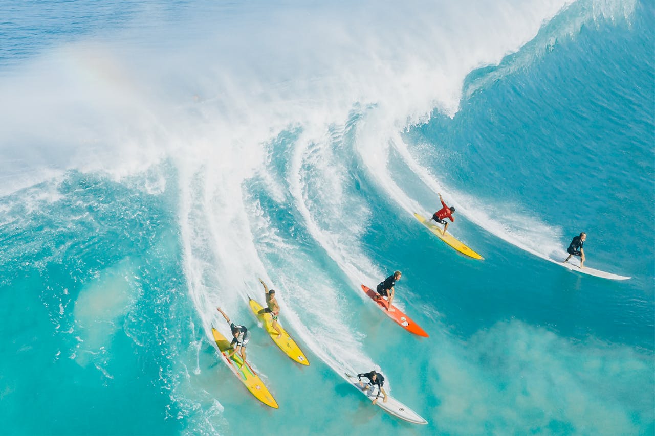 surf repeated answer quiz