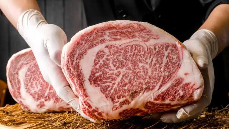 wagyu beef