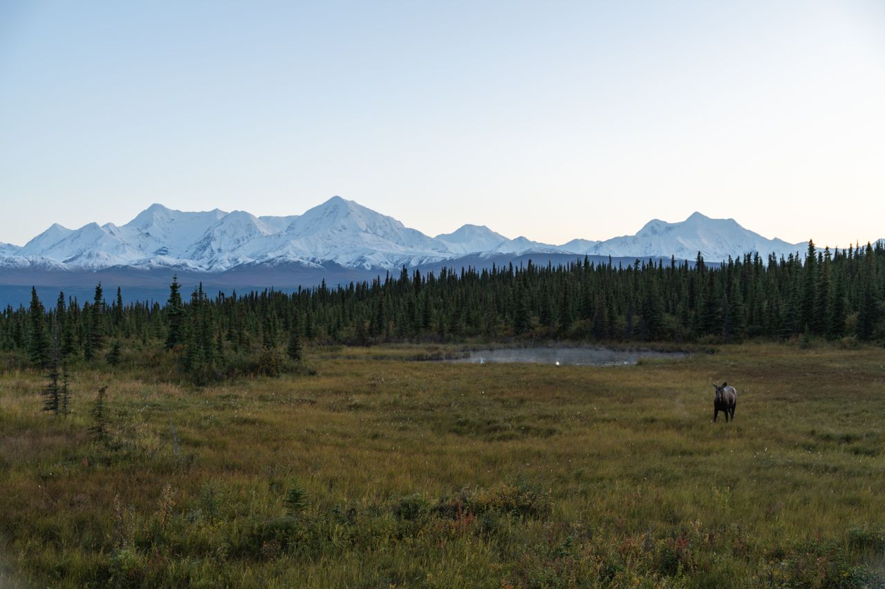 highest mountain in north america ykwblog geography quiz